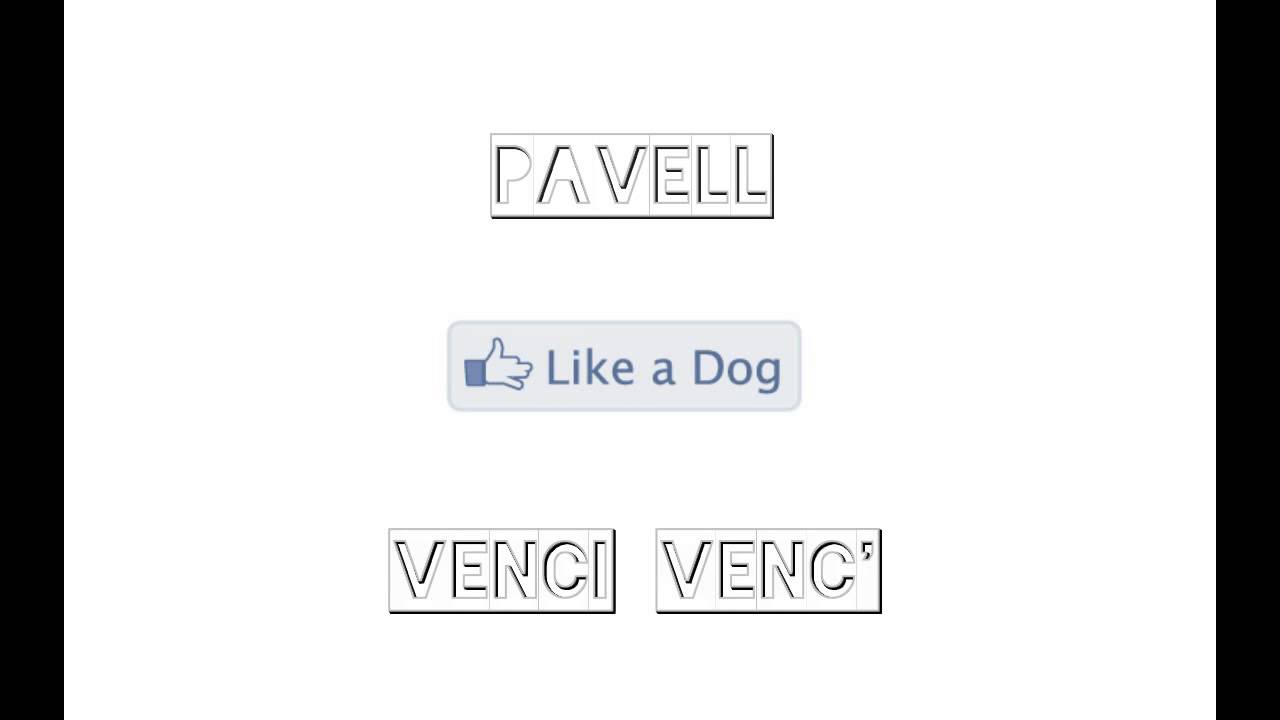 Pavell ft. Venci Venc' - Like A Dog