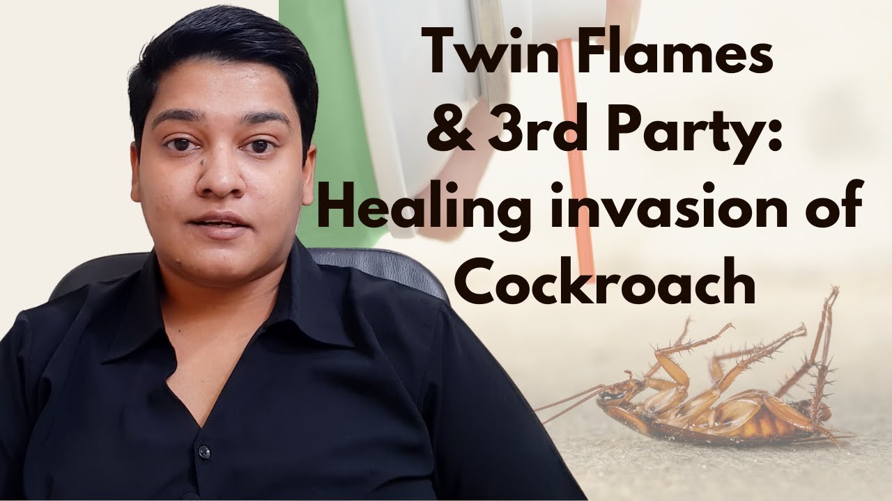 Twin Flames & 3rd Party Energy Healing:  DF/DM awakening to True Love (Hindi)