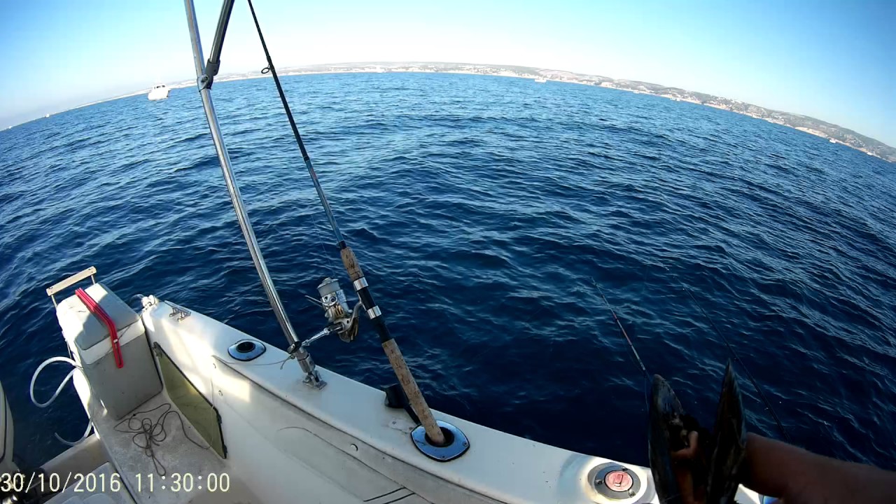 peche dorade a la moule marseille