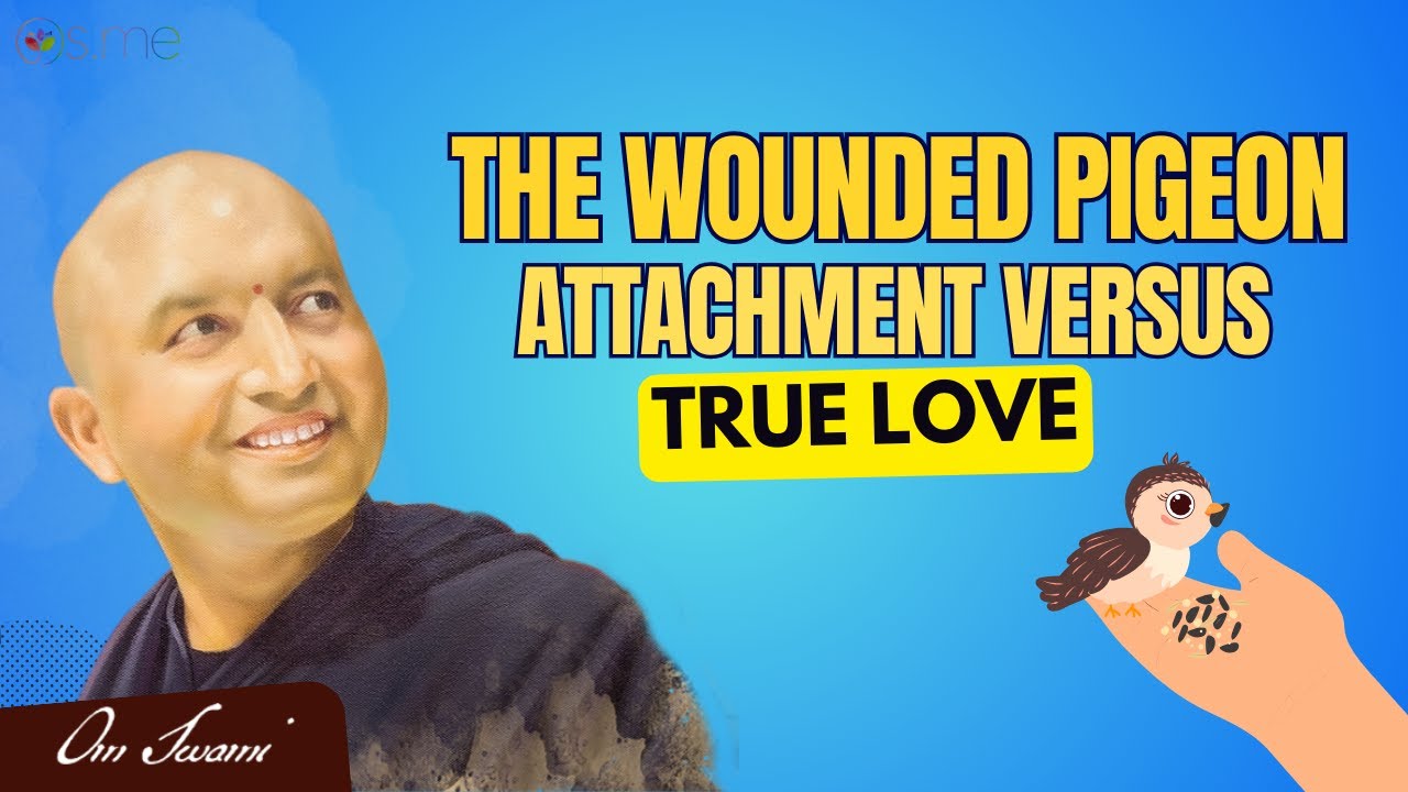 The Wounded Pigeon - Attachment vs True Love