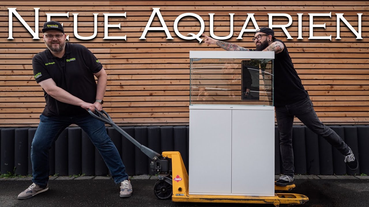 Neue Komplettsets aus Portugal - Ciano Aquarien vorgestellt | Aquado-Zoo Dortmund
