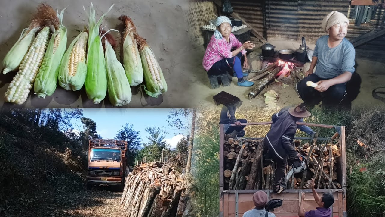 Village Life Work update 💪💥