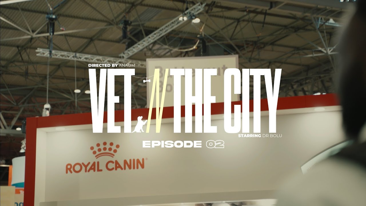 VET N THE CITY: EP 002: Have you ever been to CRUFTS?