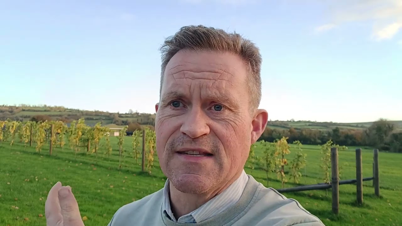 Why A Vineyard in Ireland Why are we embarking on this insane journey?