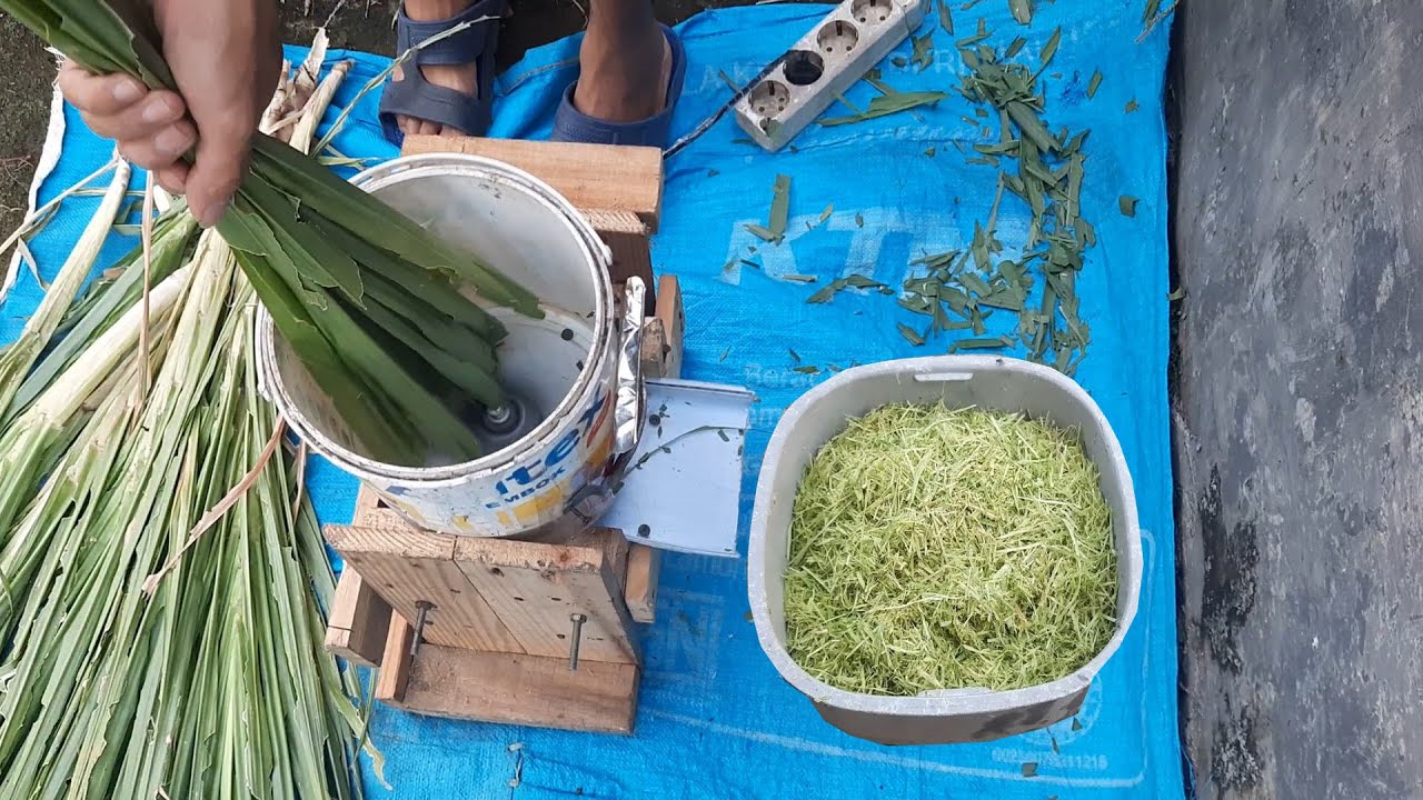 membuat Mesin cacah rumput dari bahan bekas untuk mengurangi biaya pakan kelinci