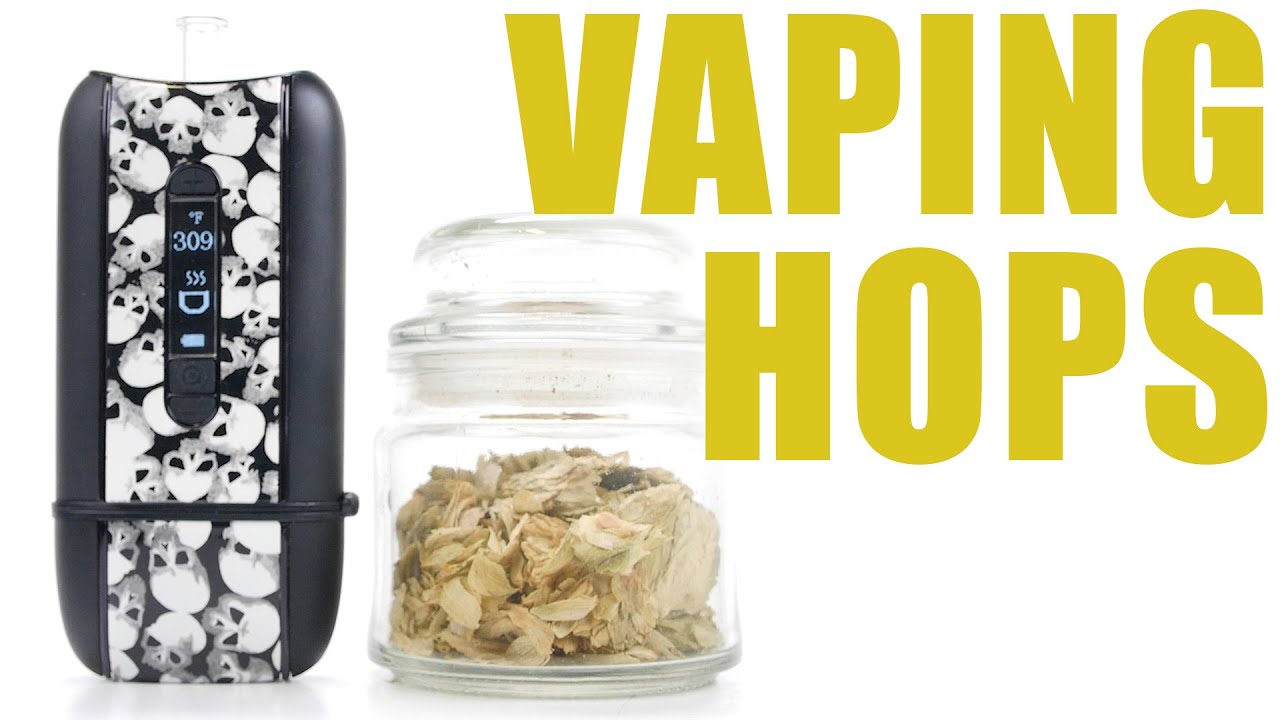 You Can Vape What?! - Vaping Hops in Your Ascent Vaporizer