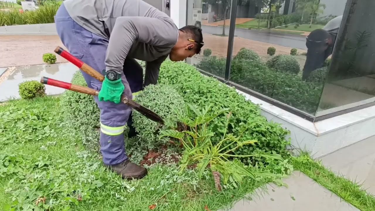 Vida de jardineiro - manutenção de jardim 