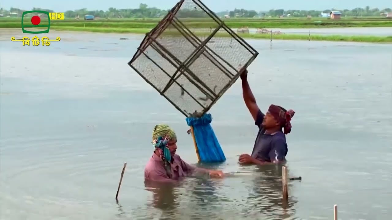 মাটি ও মানুষ | কৃষি উন্নয়ন ভিত্তিক অনুষ্ঠান