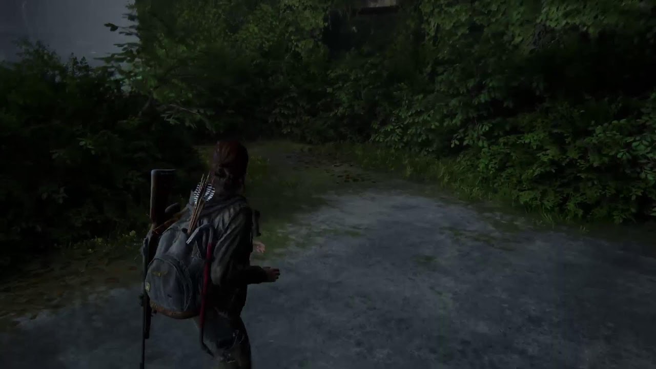 The Last of us 2 part #9