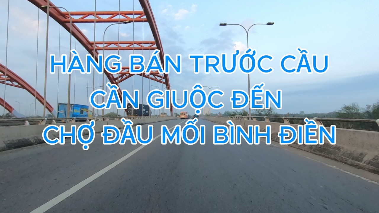 Nông sản rau củ thịt cá bán trước cầu Cần Giuộc đến Chợ Bình Điền
