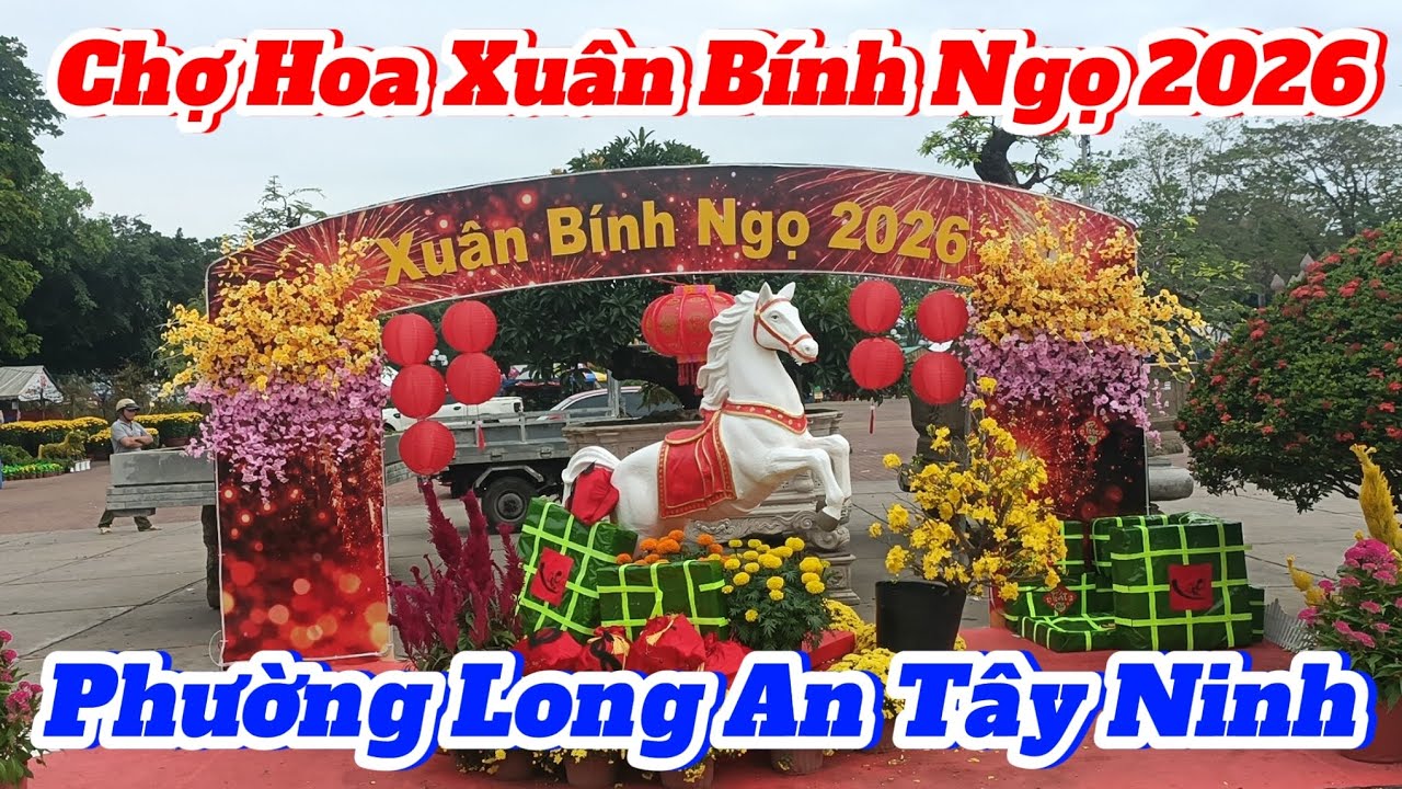 Chợ Hoa Xuân Bính Ngọ 2026 tại phường Long An Tây Ninh