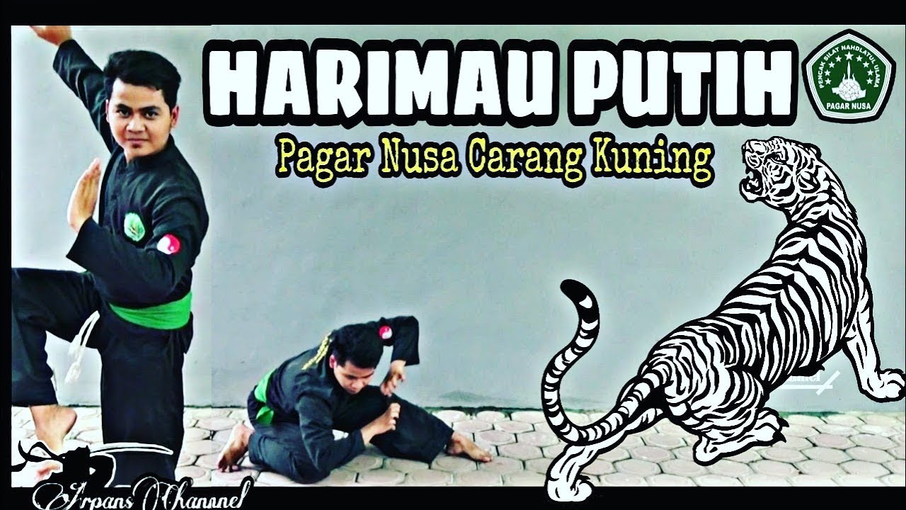 JURUS SILAT HARIMAU PUTIH !! Pagar Nusa Carang Kuning