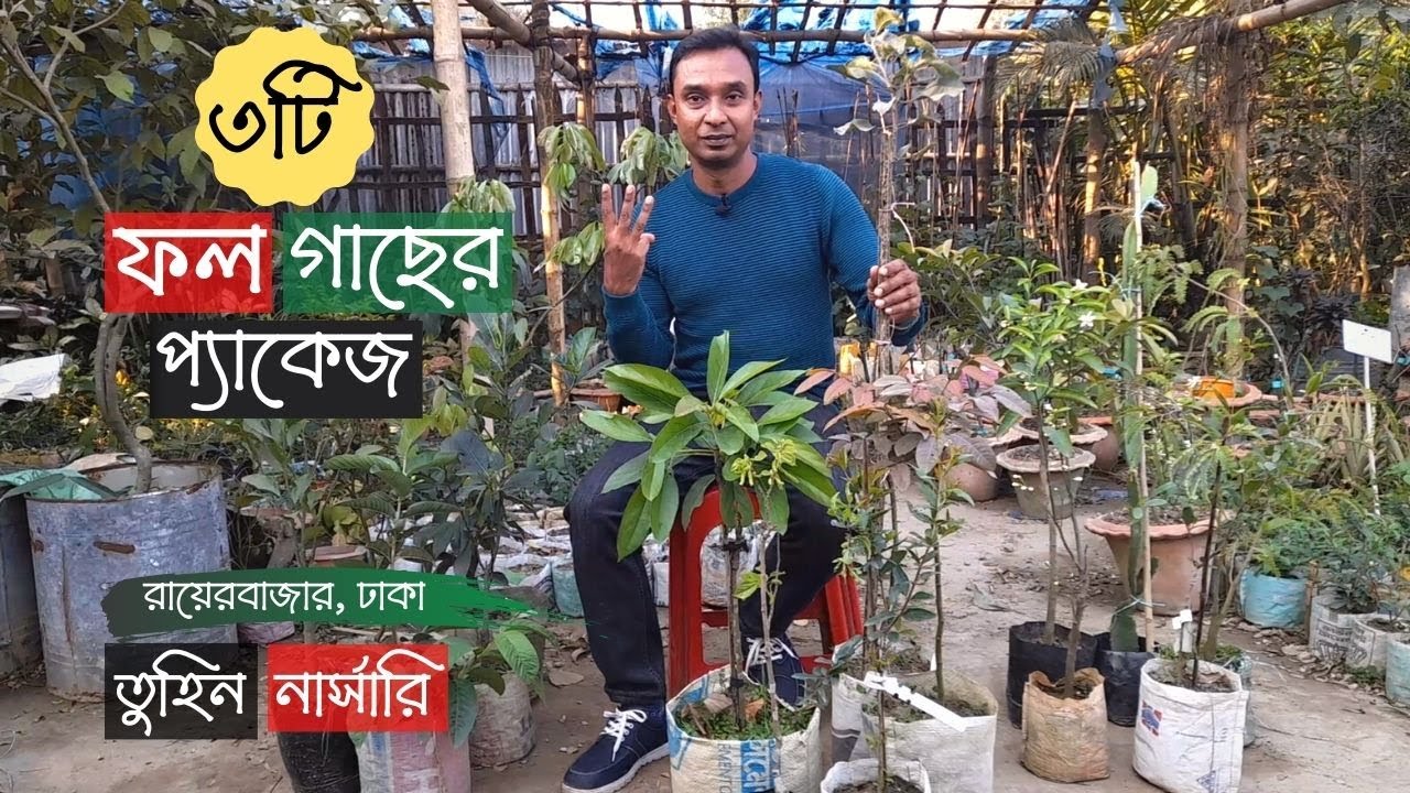 প্যাকেজ দামে ফলগাছ তুহিন নার্সারিতে | Fruit Tree Package Price | Gardening Bangladesh