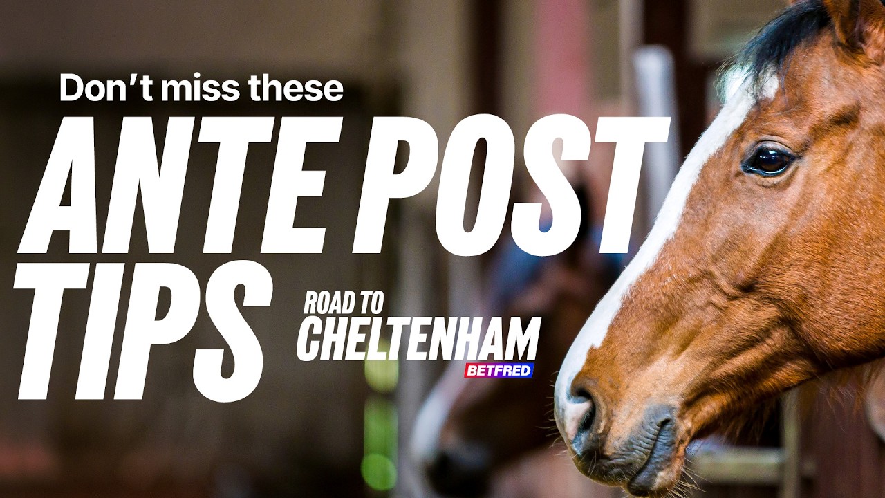 Don't miss these Ante Post tips. | Road to Cheltenham