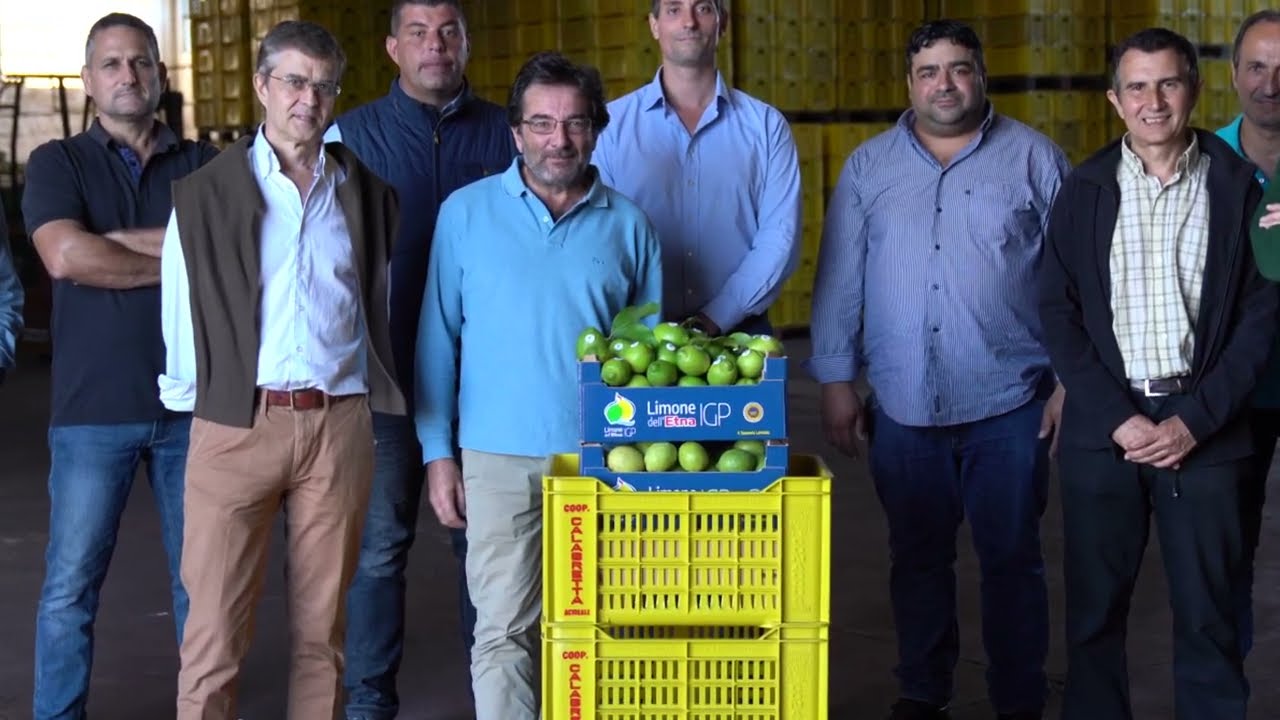 Limone dell'Etna IGP, un tesoro dal cuore delle Aci