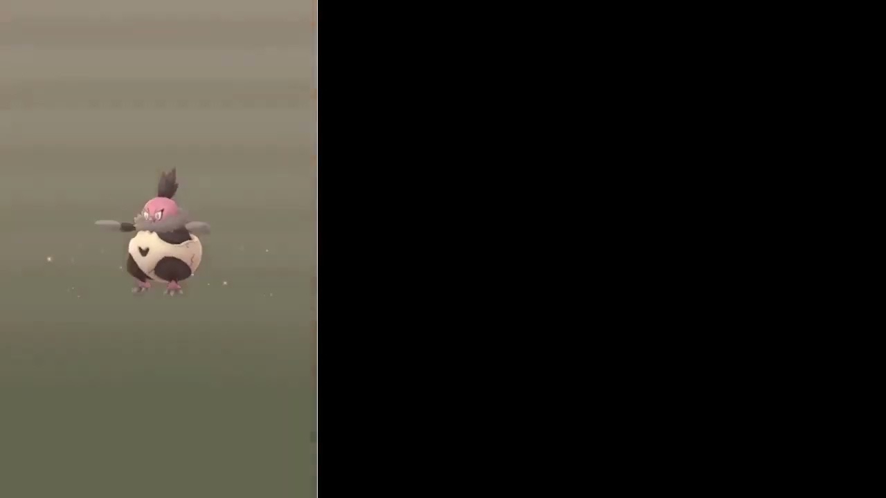 FEMALE SALANDIT???????