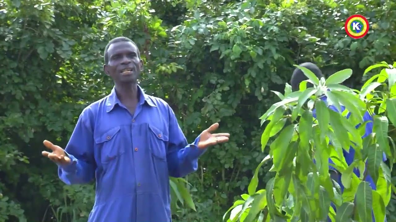 Kantanka's Organic Farm - EP 01 #organic #organicfood #organicfarming #trending