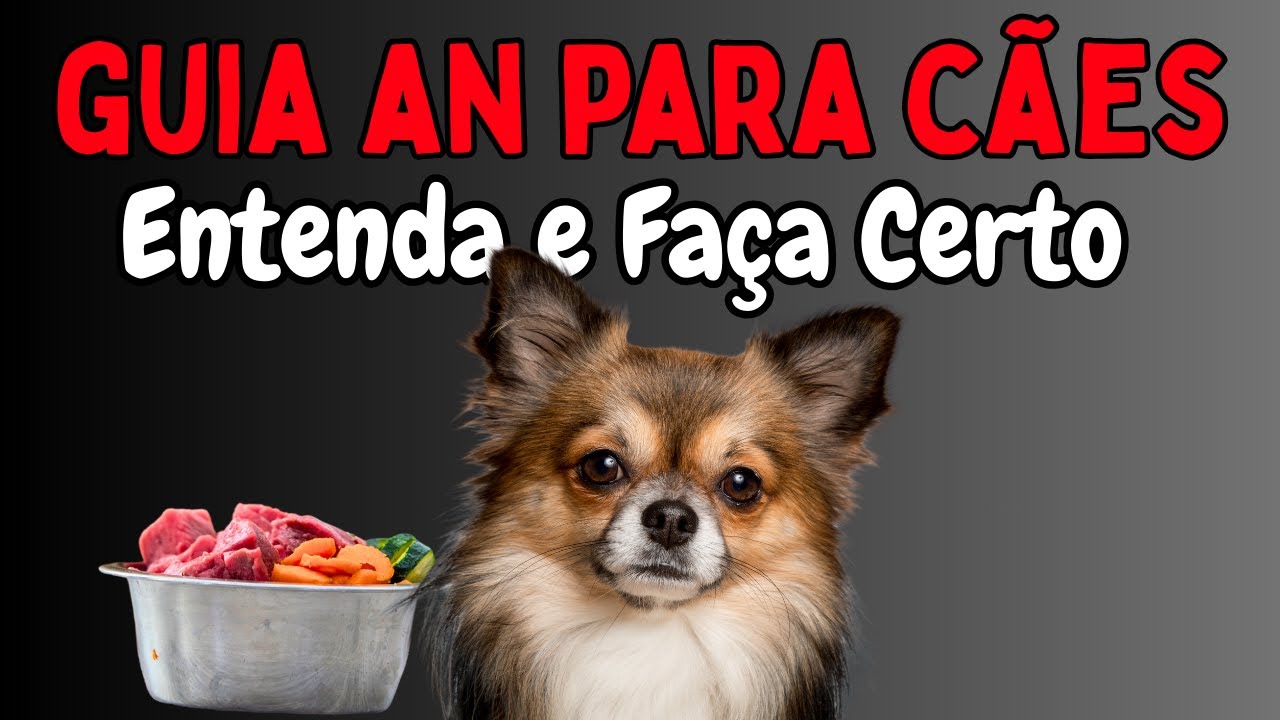 Entenda a BASE da ALIMENTAÇÃO NATURAL PARA CÃES