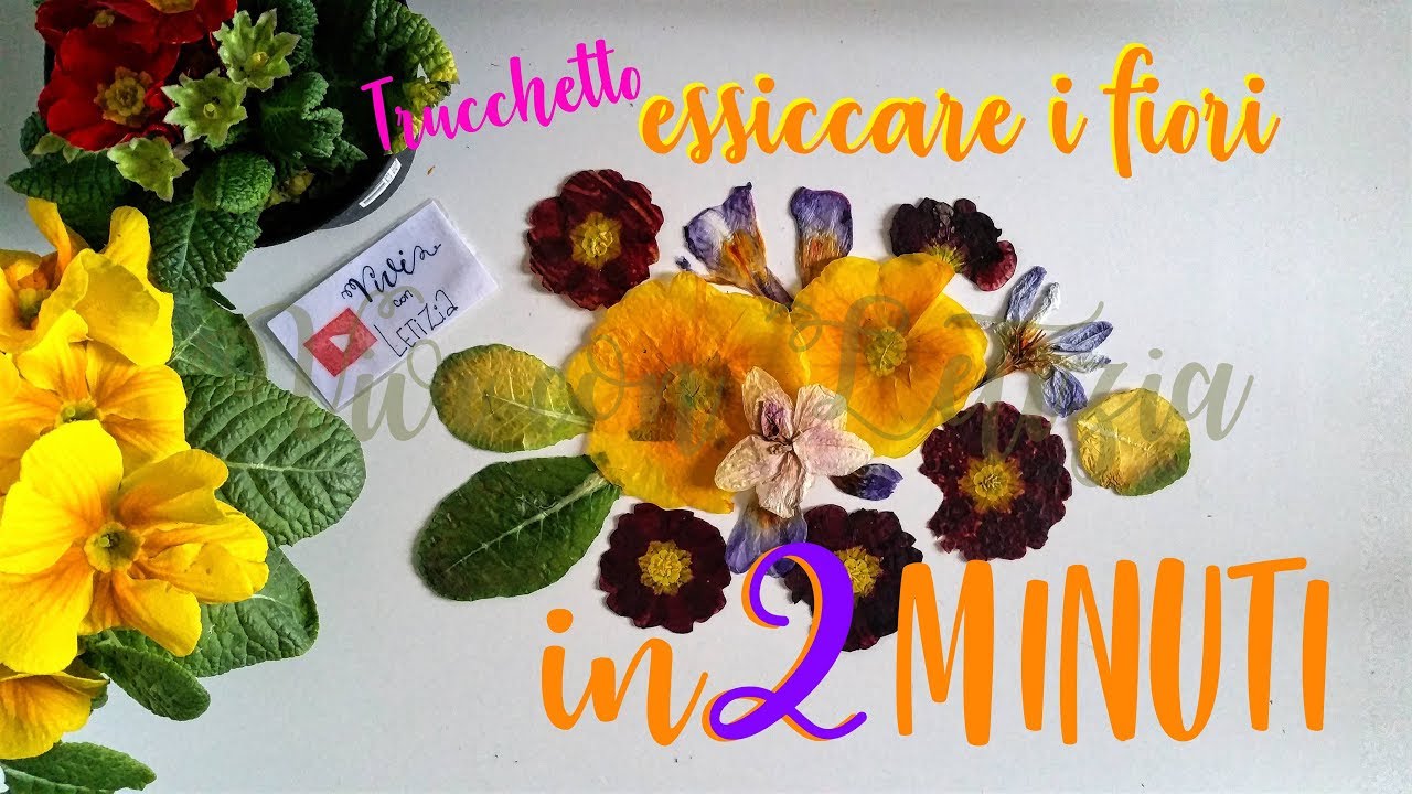 TRUCCHETTO: come ESSICCARE i FIORI velocemente 💐 FIORI SECCHI in 2 MINUTI life hacks ita
