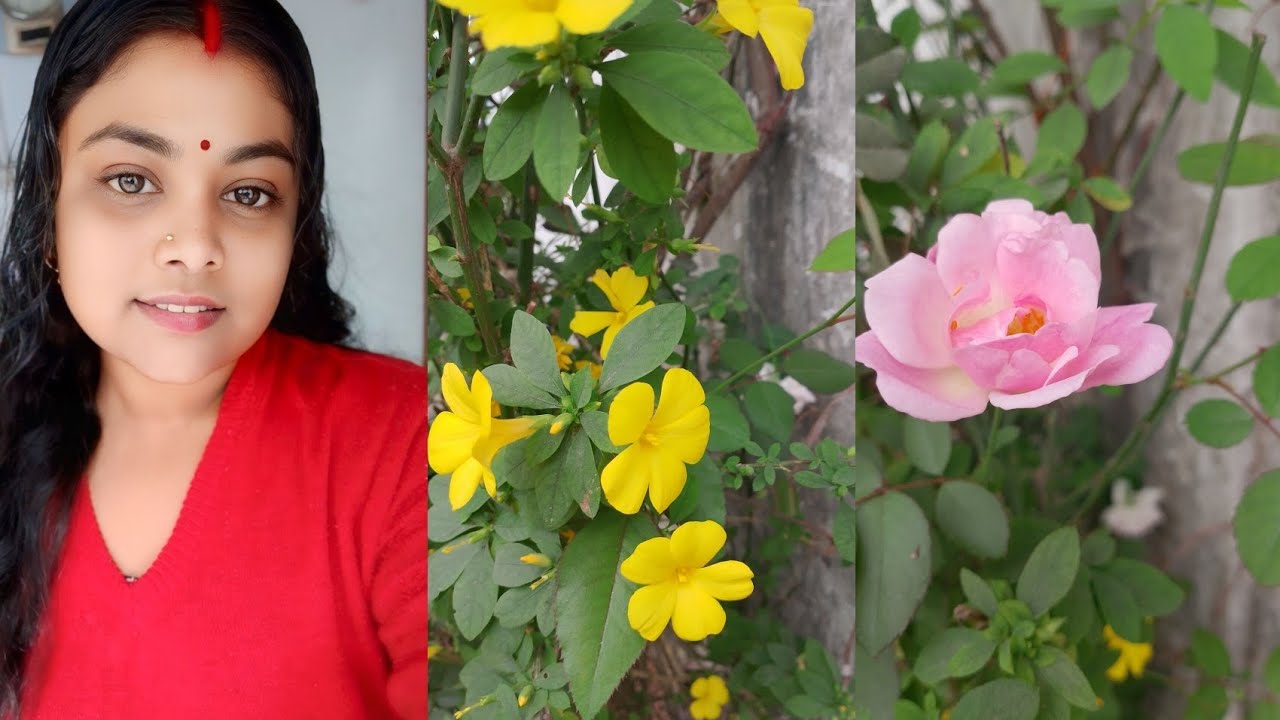 🍁সংসার সুখী হয় রমণীর গুনে🍁সংসারের ভালো-মন্দ সমস্ত কিছুর নির্ভর করে রমণীদের কাছে 🥰my lifestyle video