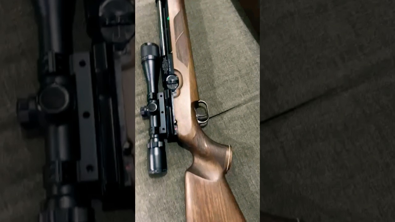 WEIHRAUCH HW 100 PCP - MADE IN GERMANY 🇩🇪 