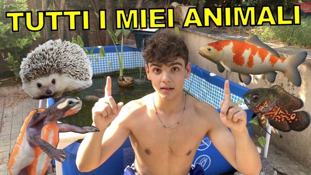 TUTTI I MIEI ANIMALI in un solo video ! ( pesci, tartarughe e altri...)