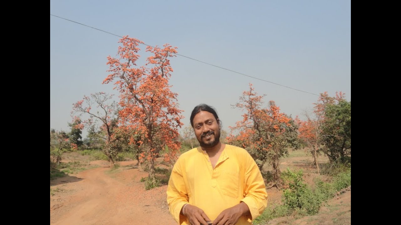 Lakhandas Baul -  BIDAY DAO GO SACHI MATA