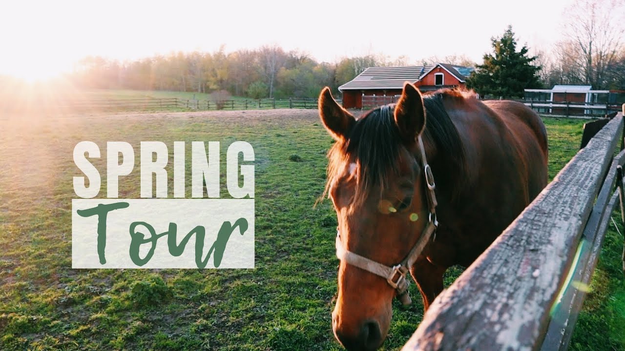 FULL Farm Tour | Garden, Orchard, Animals, & More