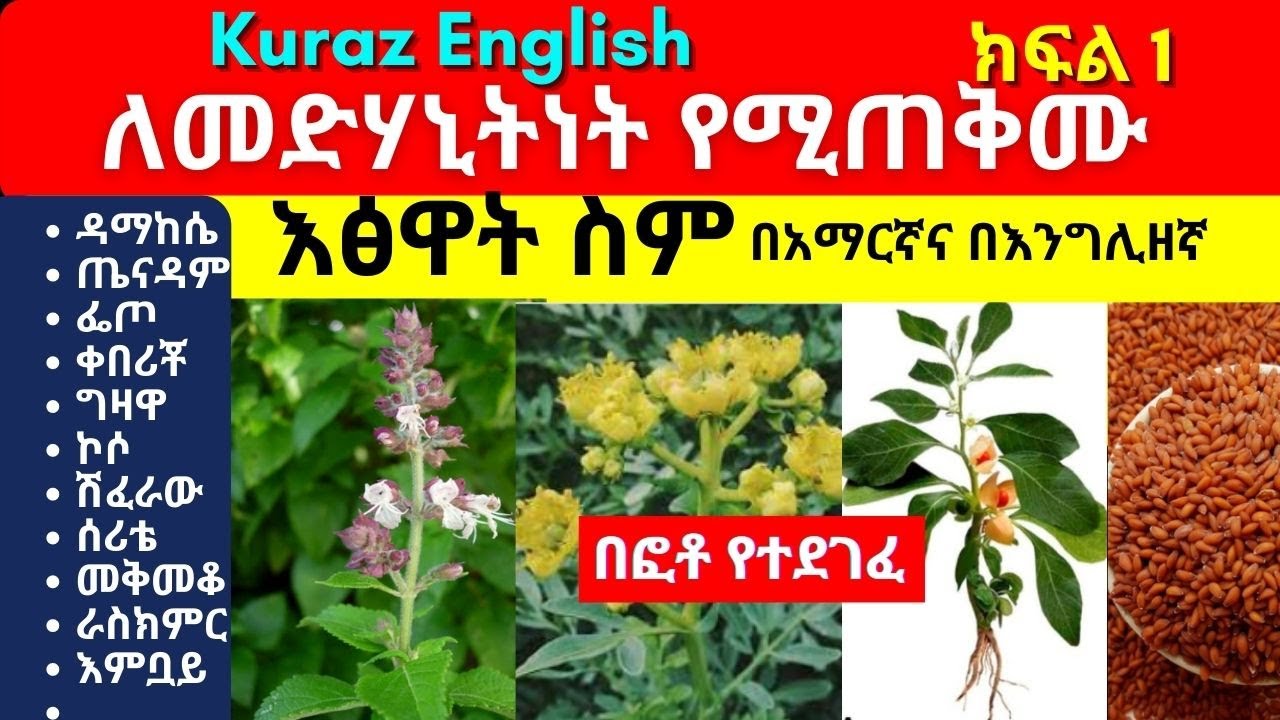 ለመድሃኒትነት የሚጠቅሙ እፅዋት ስም - names of Ethiopian medicinal plants and herbs - Part 1