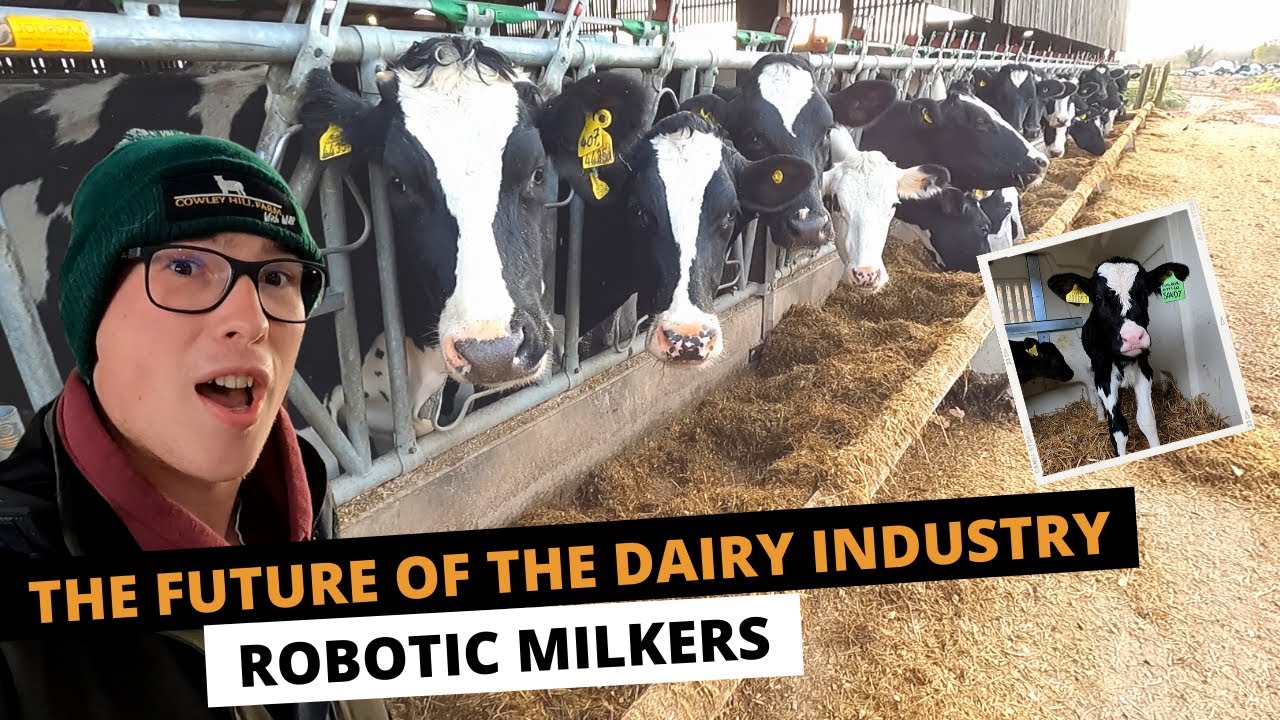 ROBOTIC MILKERS | THE FUTURE OF THE DAIRY INDUSTRY