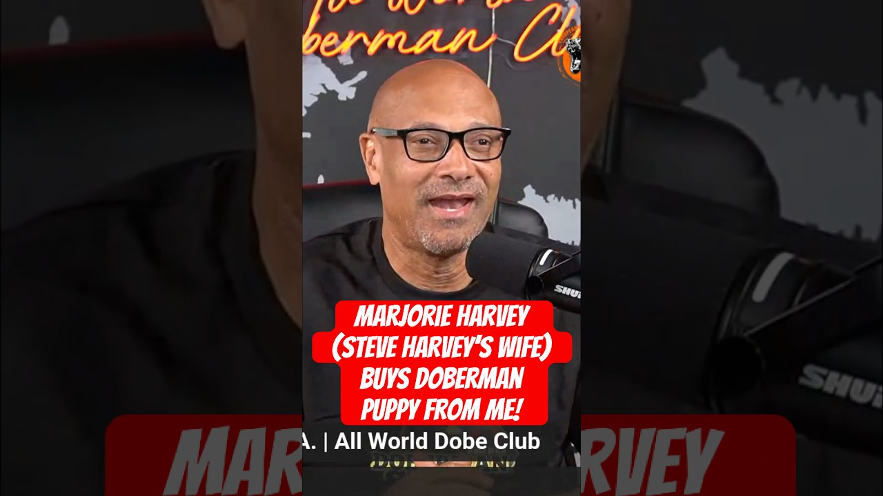 Marjorie Harvey Buys Doberman Puppy: An Unexpected Encounter! | Guest @dallask9