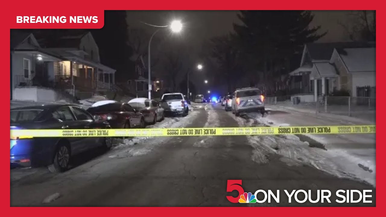 Woman killed, man injured while trying to defend pet from dog attack