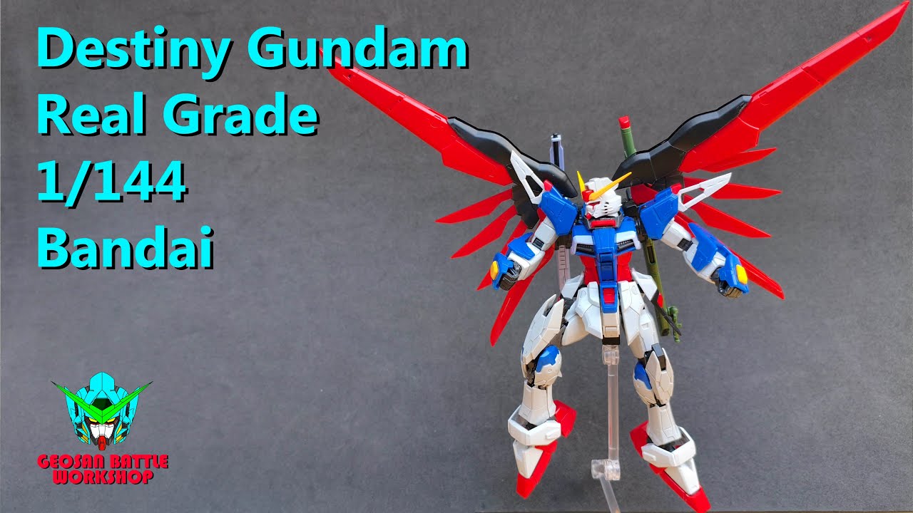 Destiny Gundam Real Grade 1/144 Bandai Geosan Battle