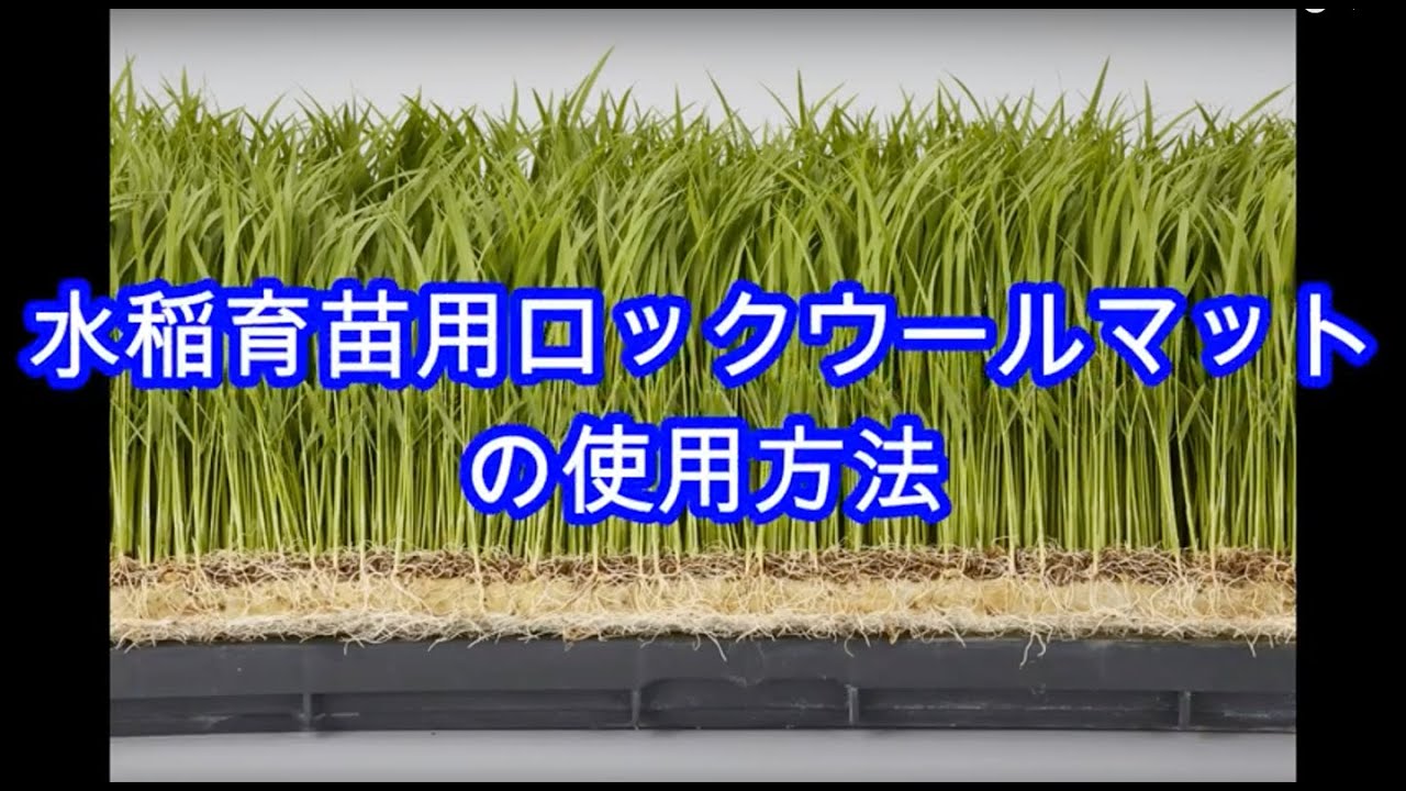 水稲育苗用ロックウールマットの使用方法（日本ロックウール株式会社オフィシャル）