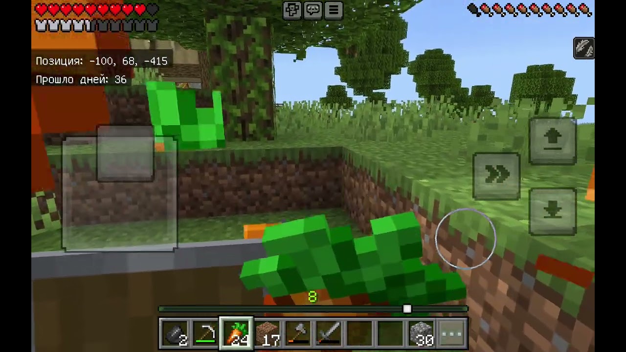 Игра со старшей сестрой в minecraft с модами на драконов и питомцев 9