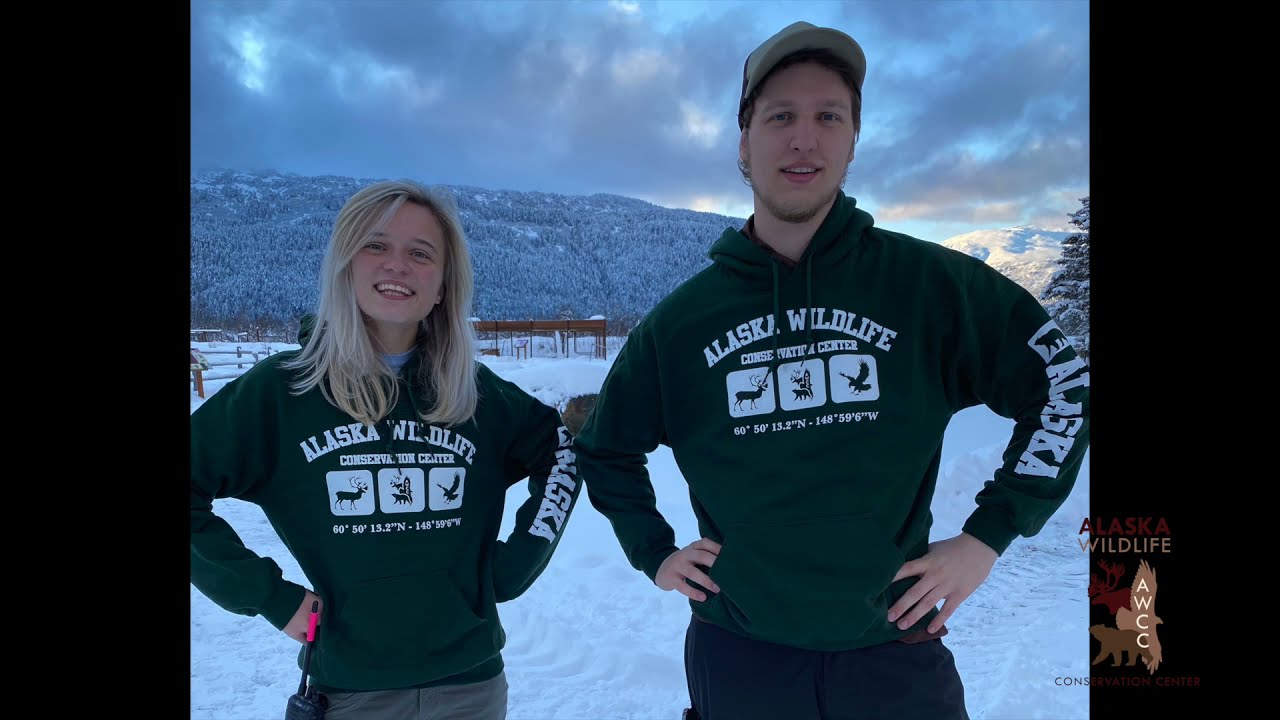 Tour the Be Wild Gift Shop at the Alaska Wildlife Conservation Center