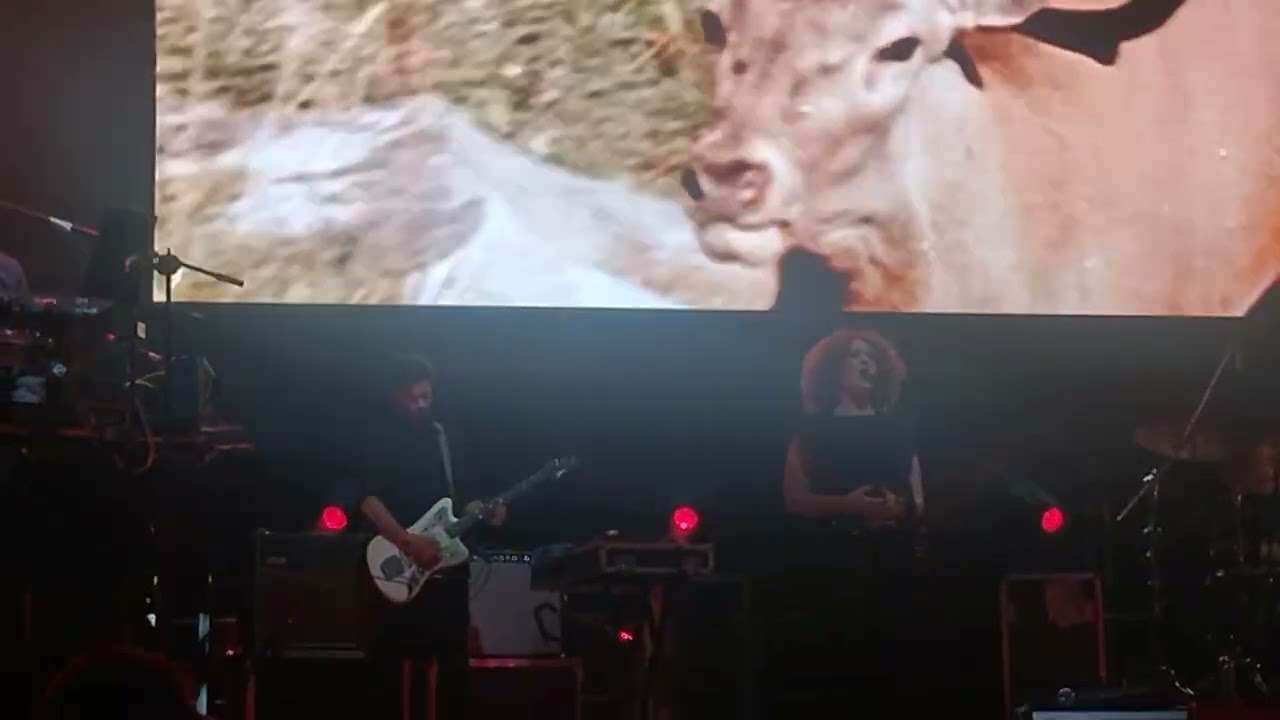 Laibach Life is Life Live at Brutal Assault 2024