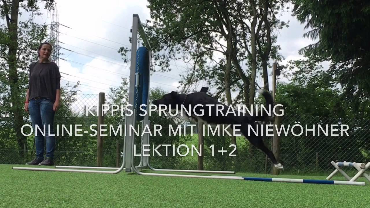 KiPPiS Sprungtraining Online-Seminar mit Imke Niew&ouml;hner, Lektion 1 + 2