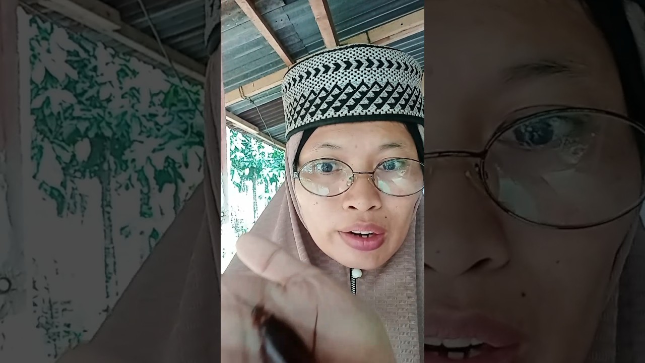 gigantic insect! me kecoa 