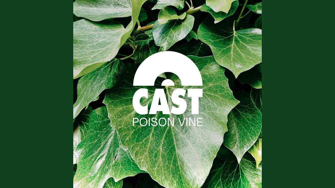 Poison Vine (feat. P.P. Arnold)