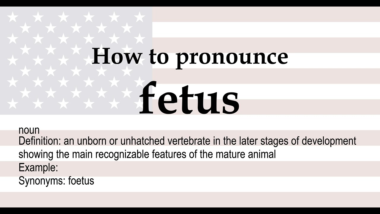 How to pronounce 'fetus' + meaning