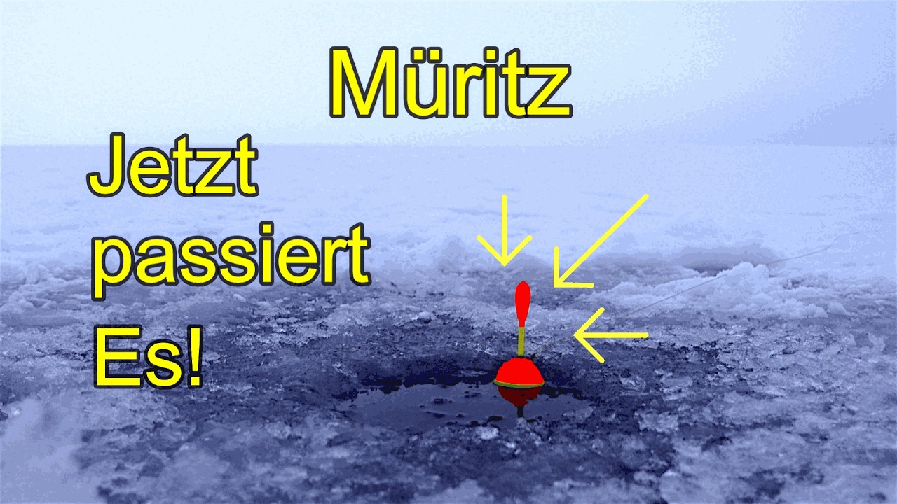 Wir fangen ein 1,20+ Hecht an der Müritz! Die Pose geht unter!! Folge 2