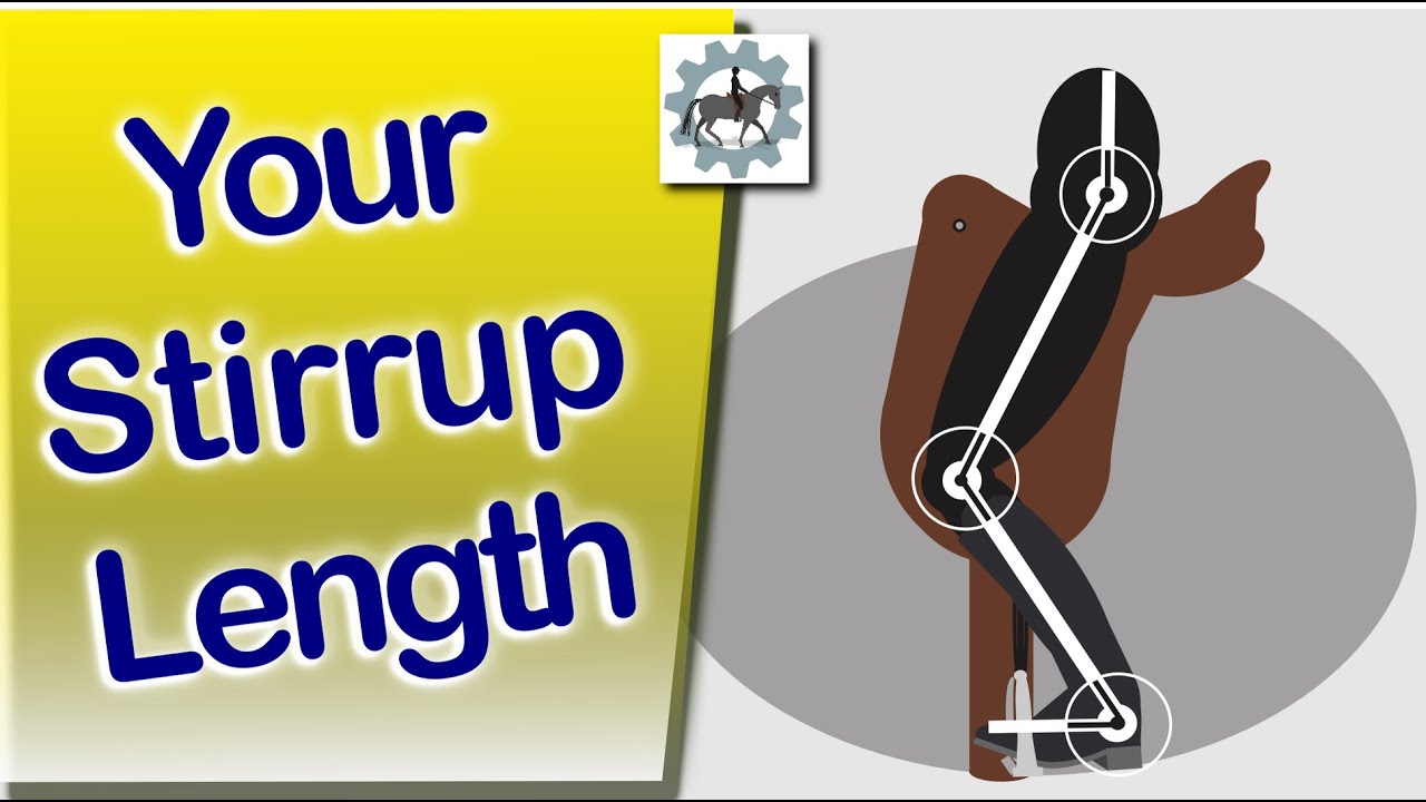 What is the correct stirrup length? - HOW TO MAKE SURE THEY ARE JUST RIGHT!