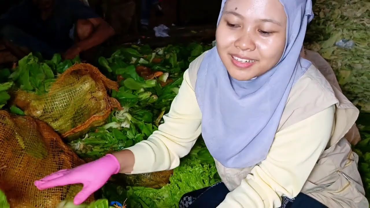 Mulung Sayur yang Gagal Jual Satu Kol Bak, Pakcoy dan Selada...