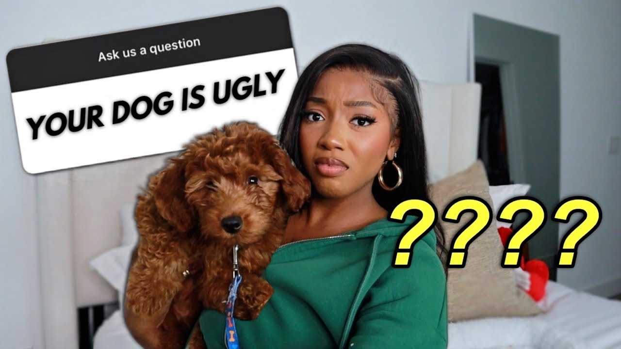 I'm a New Mother and the Haters are MADDDDD!?? | Q&A