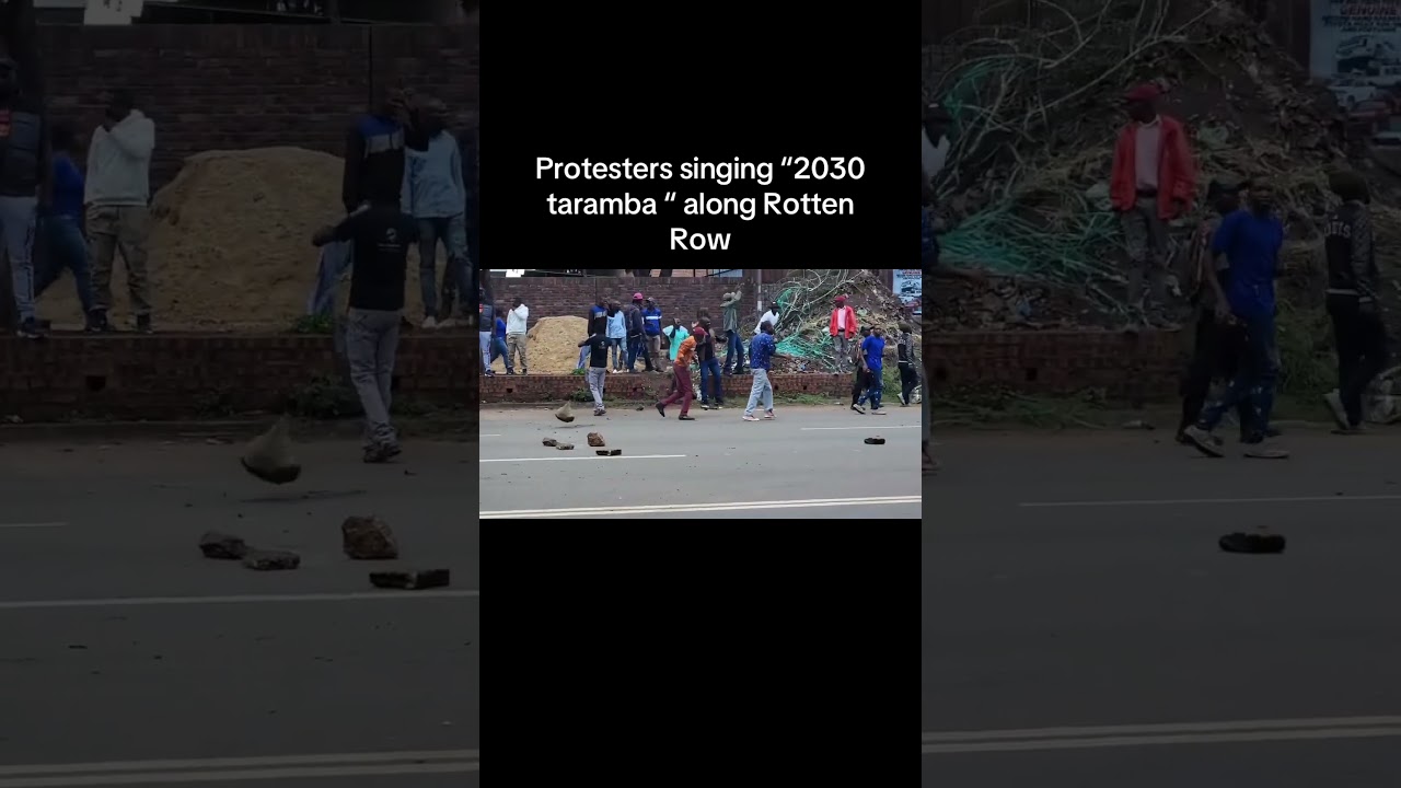 31st March protests in Harare