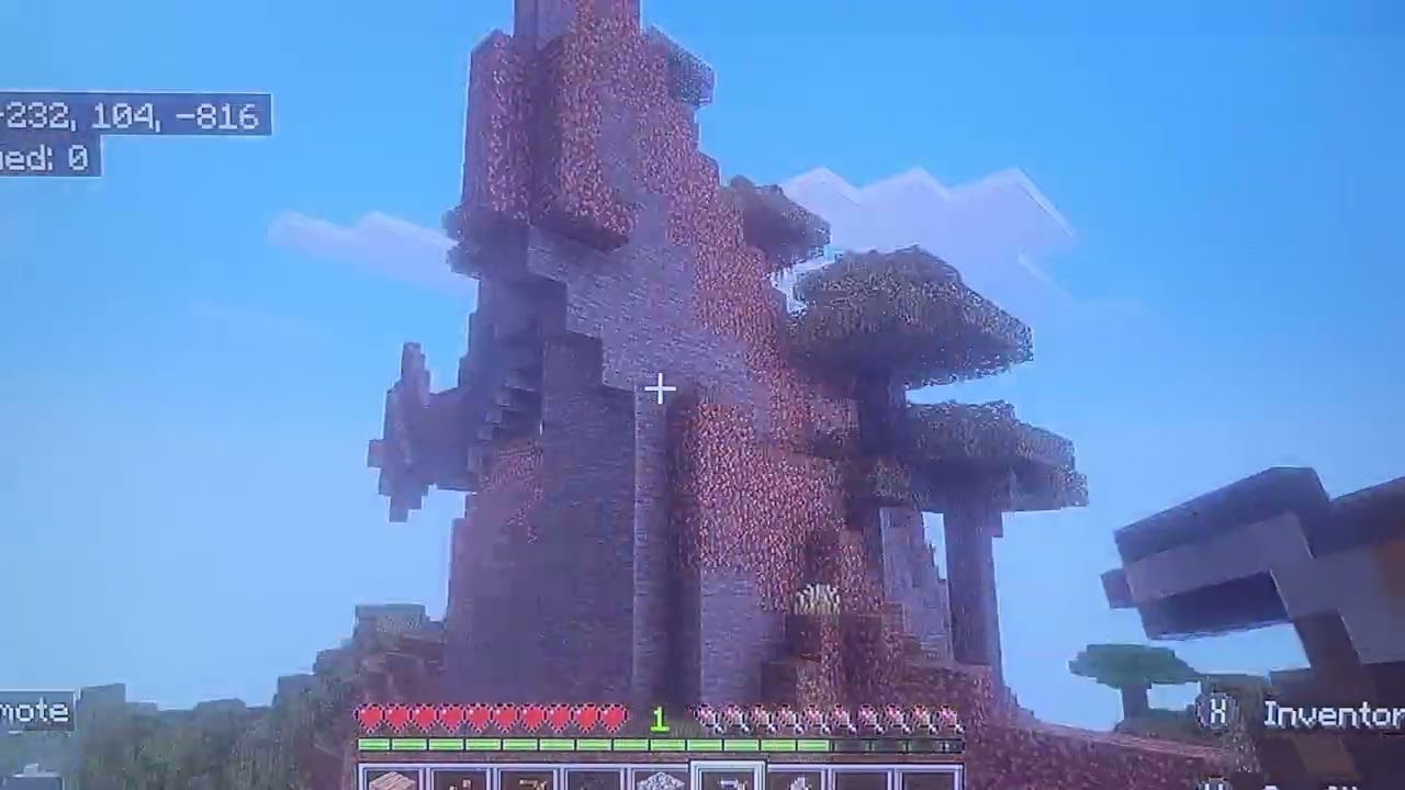 First day in a new minecraft world