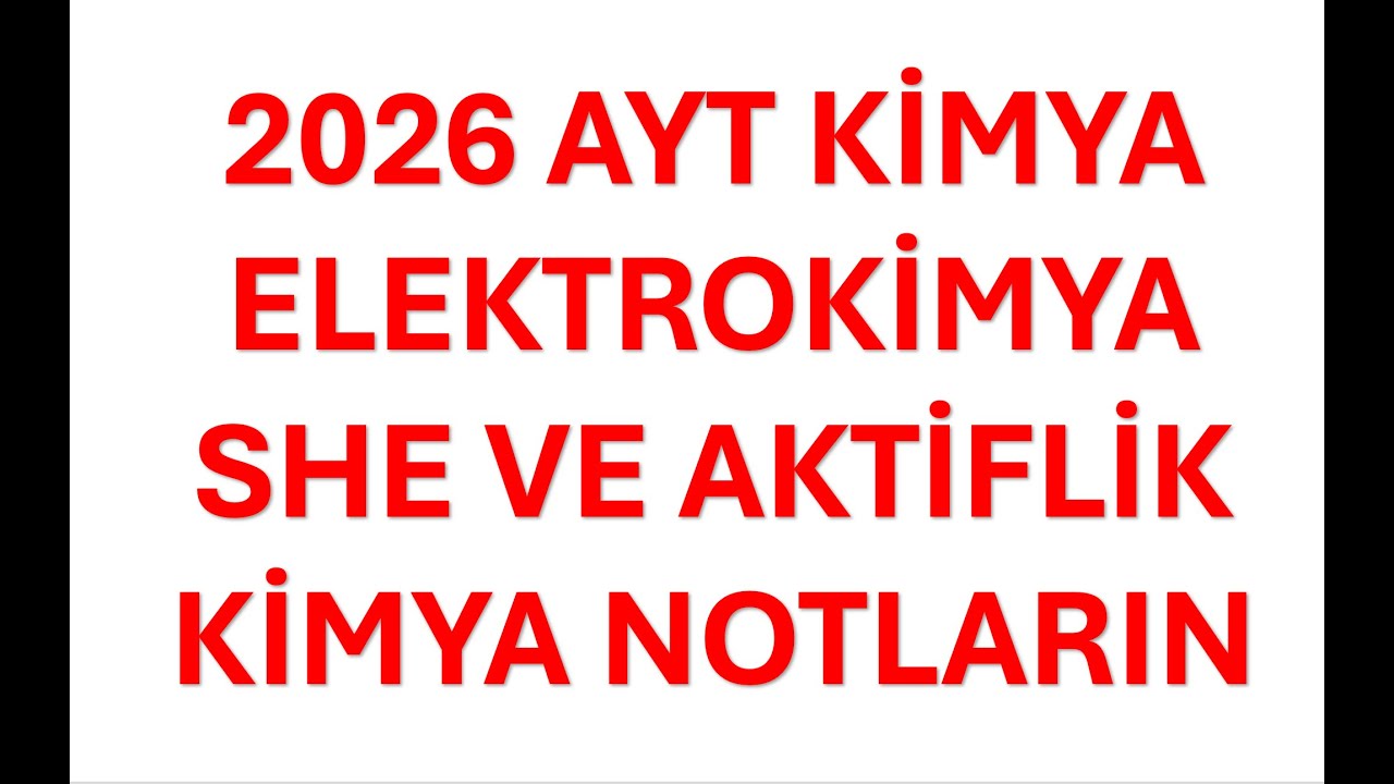 SHE VE AKTİFLİK
