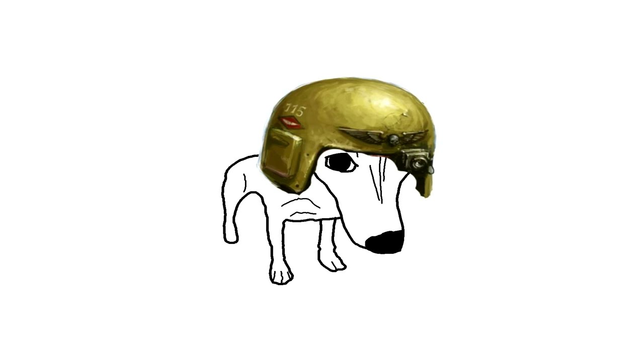 THE WARHAMMER 40K DOG EXPERIENCE