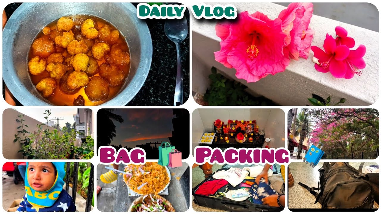 Daily Vlog ||Bag 🛍️ Packing 🧳||@Sindhugowdavlog 
